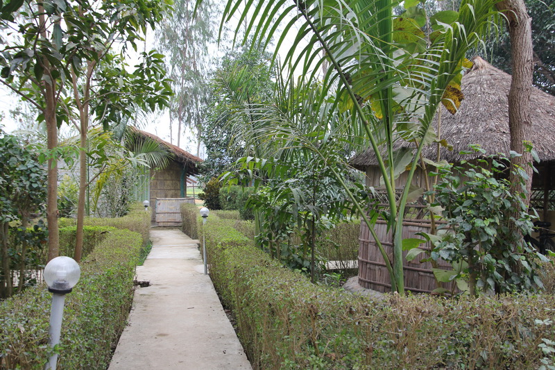 Bardia Kingfisher Resort cottages